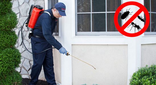 Adapazarı Böcek İlaçlama böcek ilaçlama ve haşere kontrolü — ilaclama-tr.com
